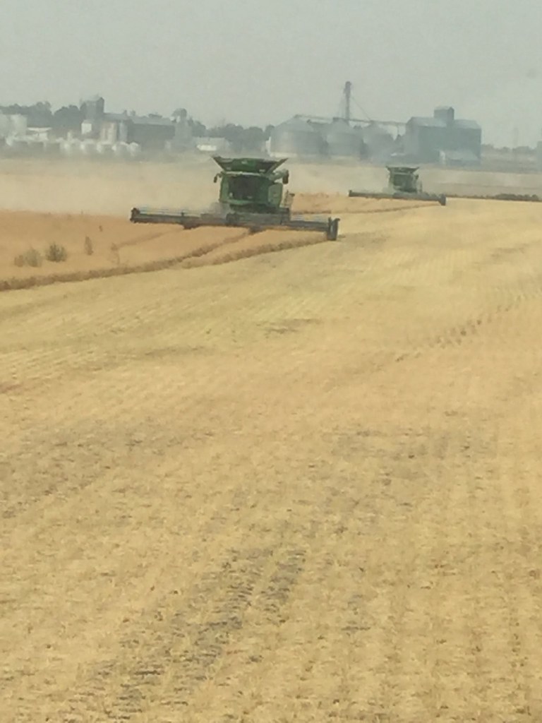 Schemper Harvesting