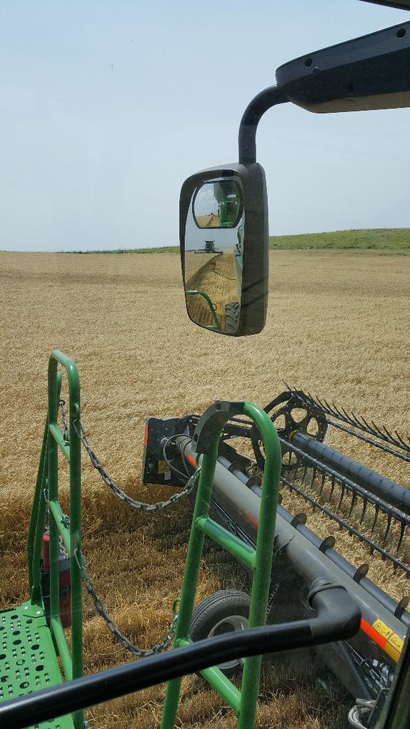 Schemper Harvesting 2018
