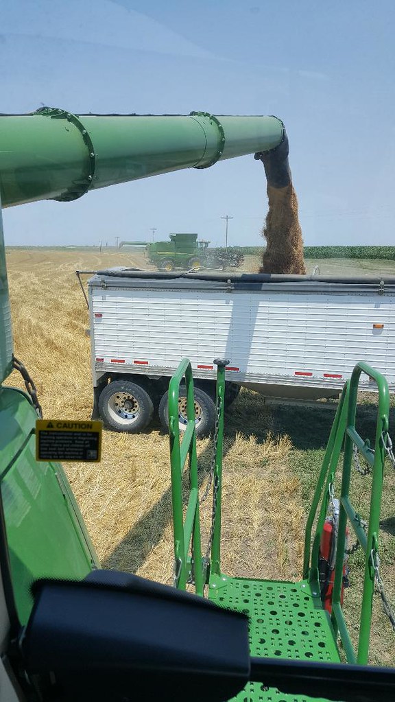 Schemper Harvesting 2018