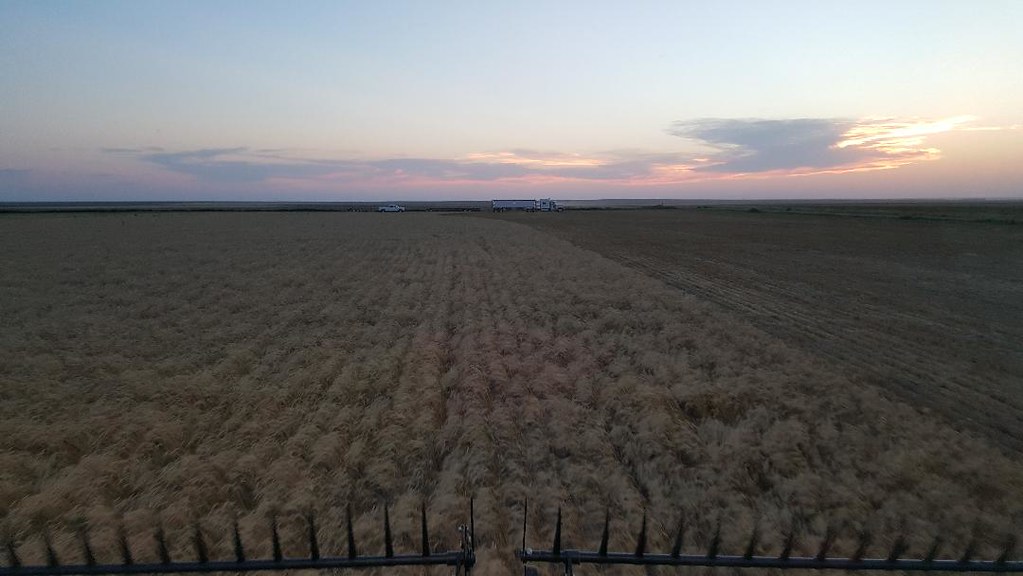Schemper Harvesting 2018