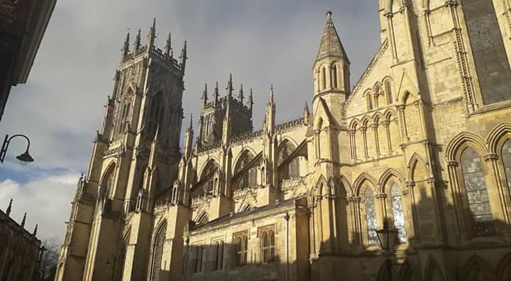 High Plains Harvesting 2018