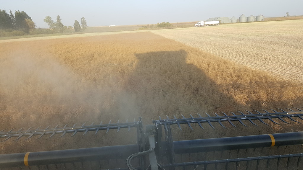 Schemper Harvesting