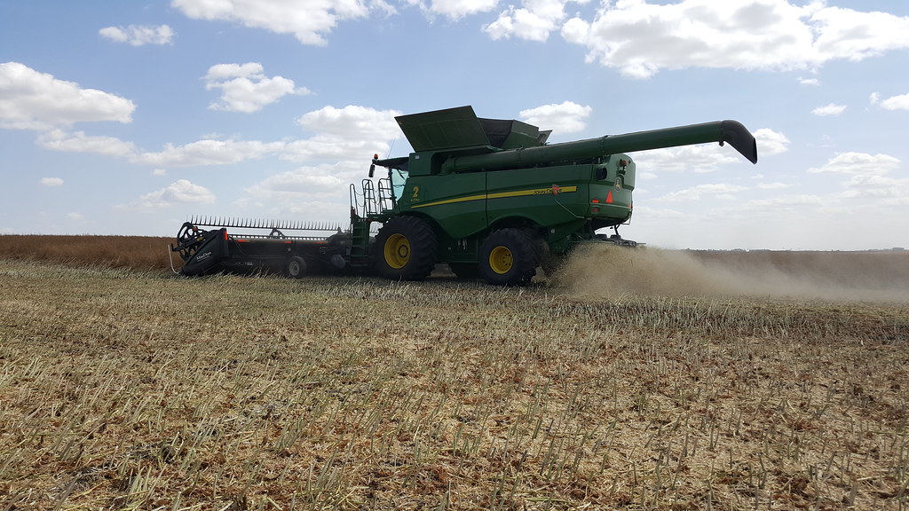 Schemper Harvesting