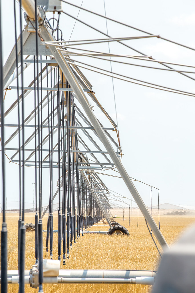 High Plains Harvesting 2018