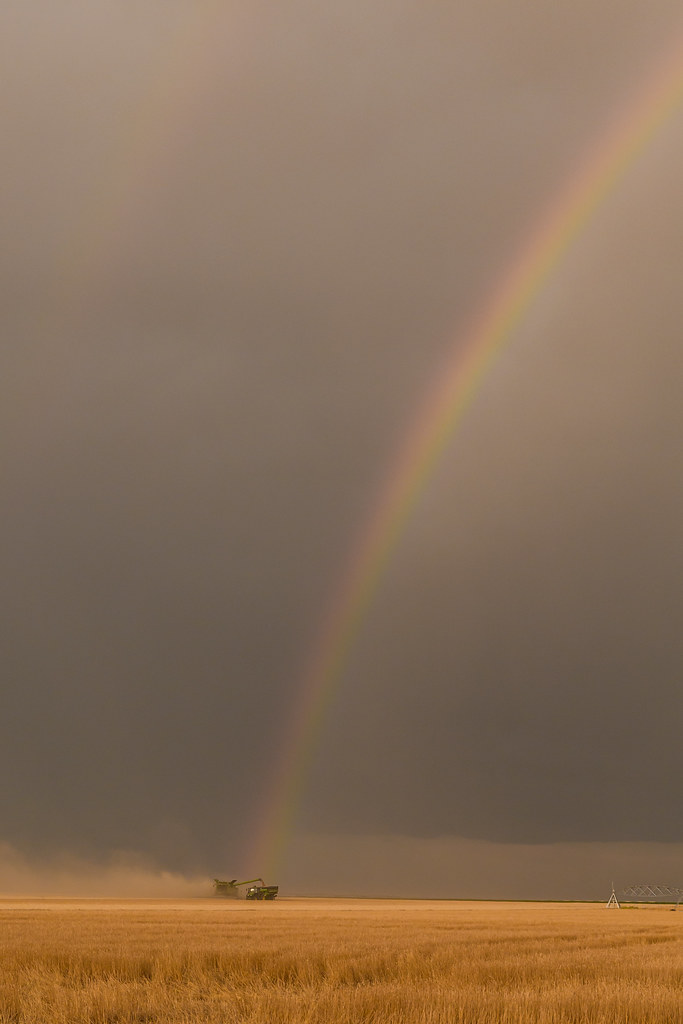 High Plains Harvesting 2018