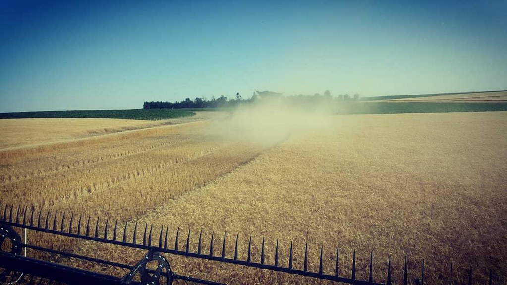 Schemper Harvesting 2018