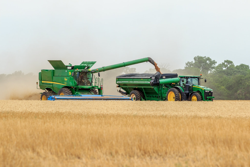 High Pains Harvesting 2018 (Laura