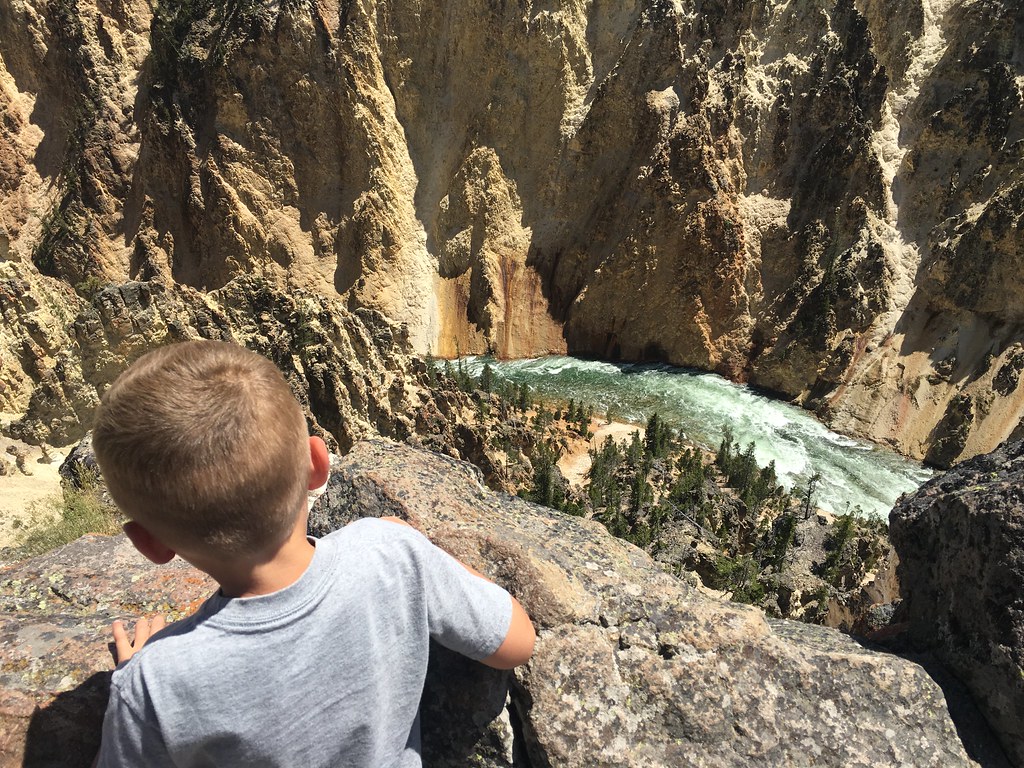 High Plains Harvesting 2018 (Laura)