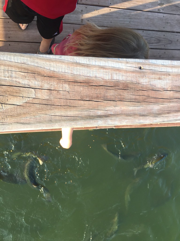 High Plains Harvesting
