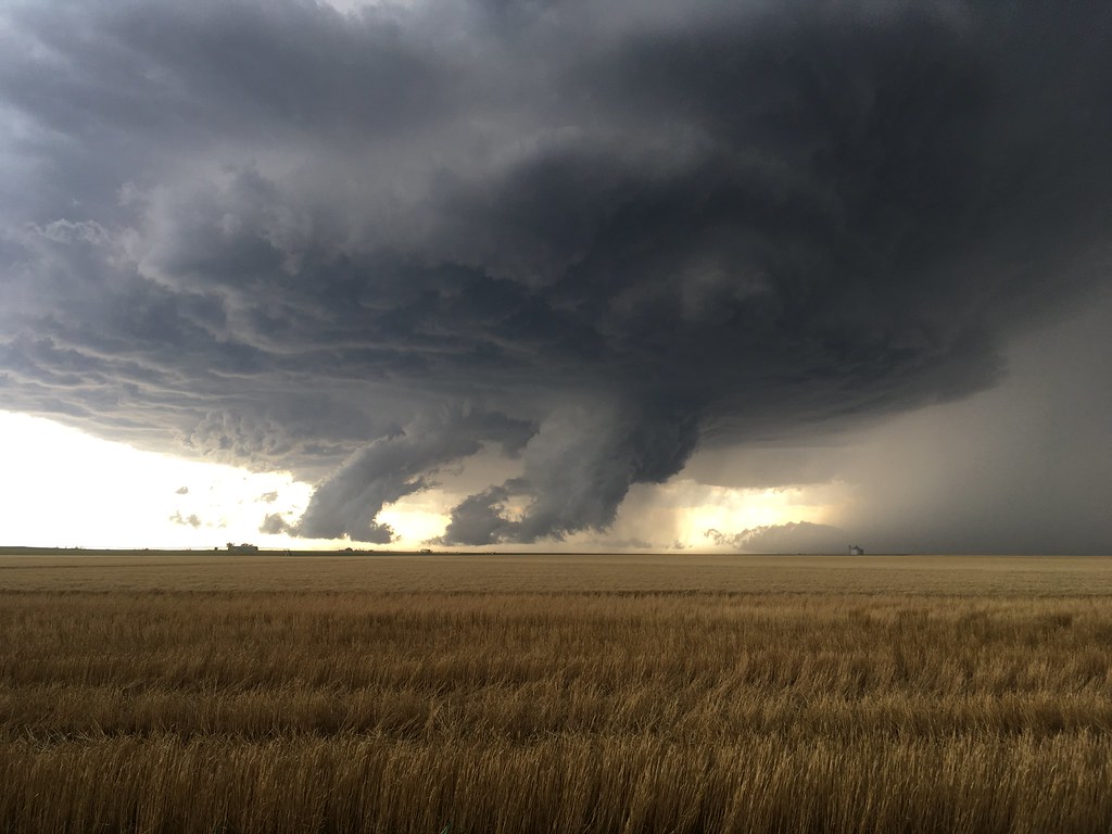 High Plains Harvesting 2018 - James 3