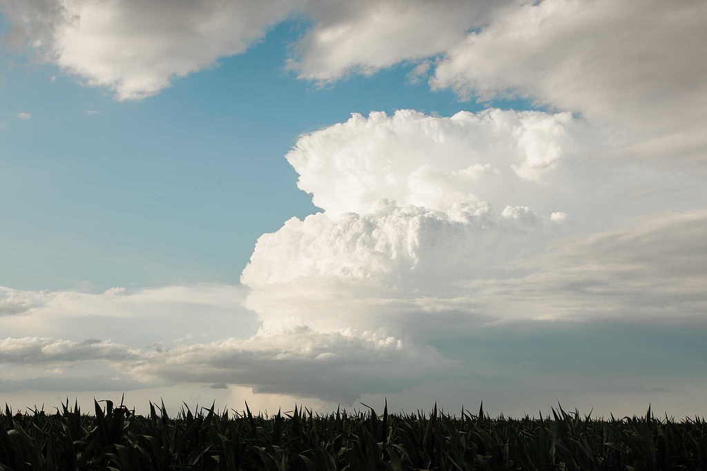 High Plains Harvesting 2018
