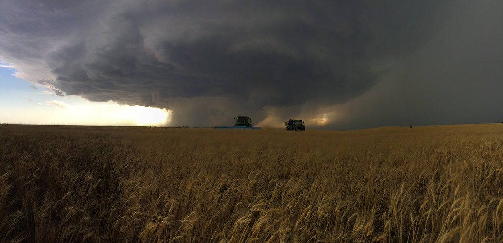 High Plains Harvesting 2018 - TJ