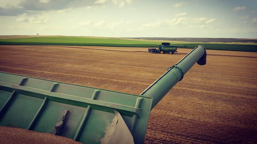 Schemper Harvesting 2018