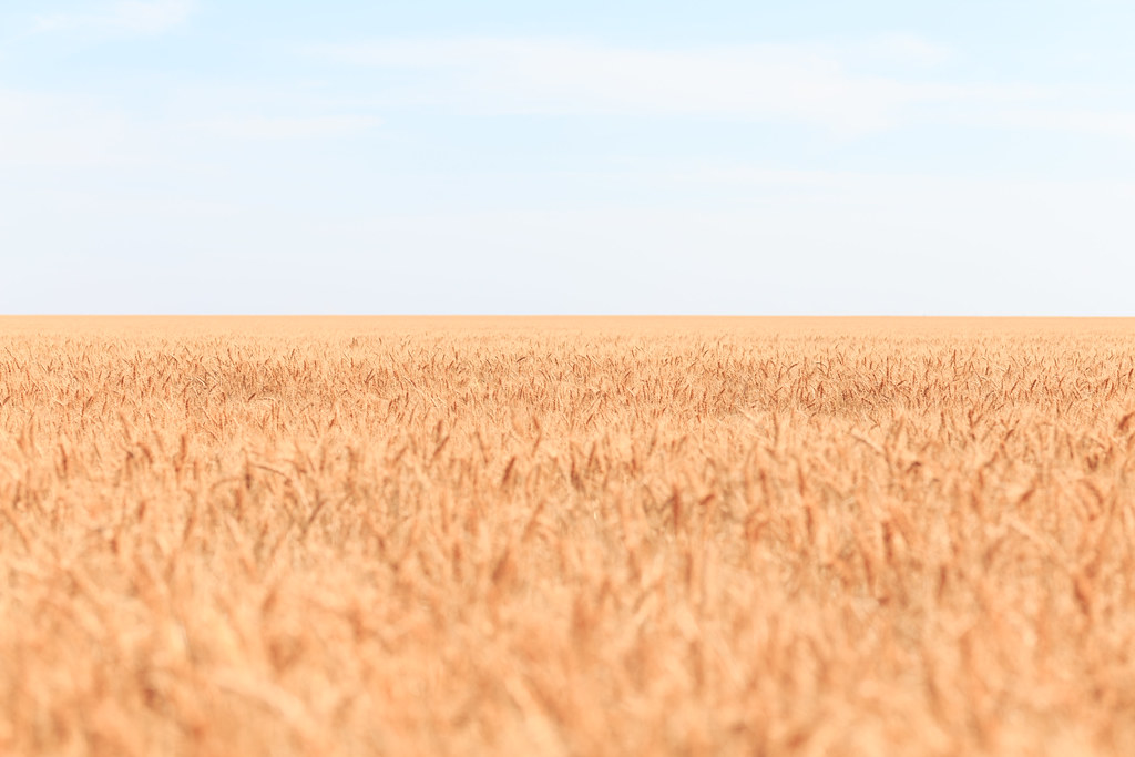 High Plains Harvesting 2018