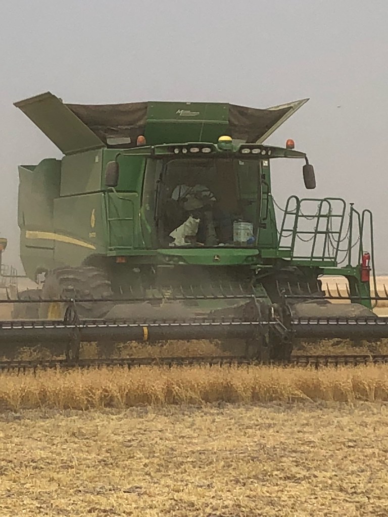 Schemper Harvesting