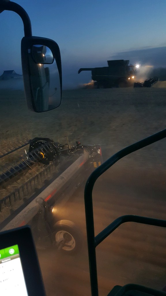 Schemper Harvesting 2018