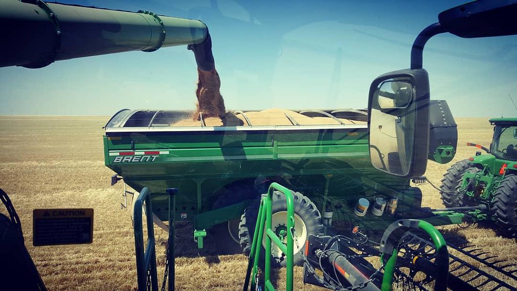 Schemper Harvesting 2018