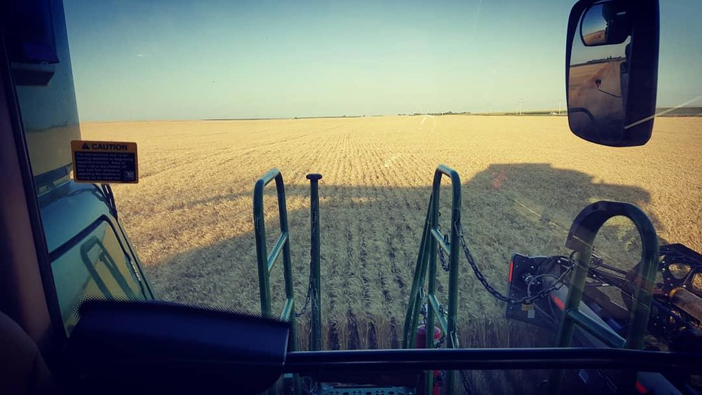 Schemper Harvesting 2018