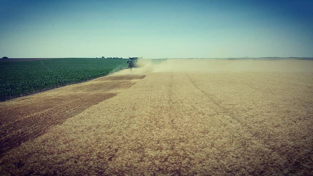 Schemper Harvesting 2018