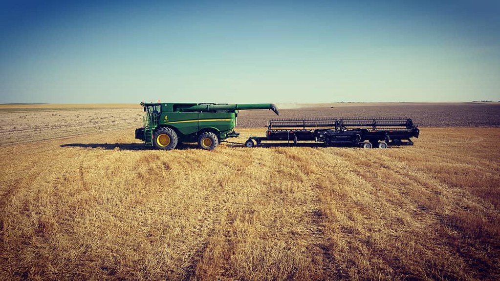 Schemper Harvesting 2018