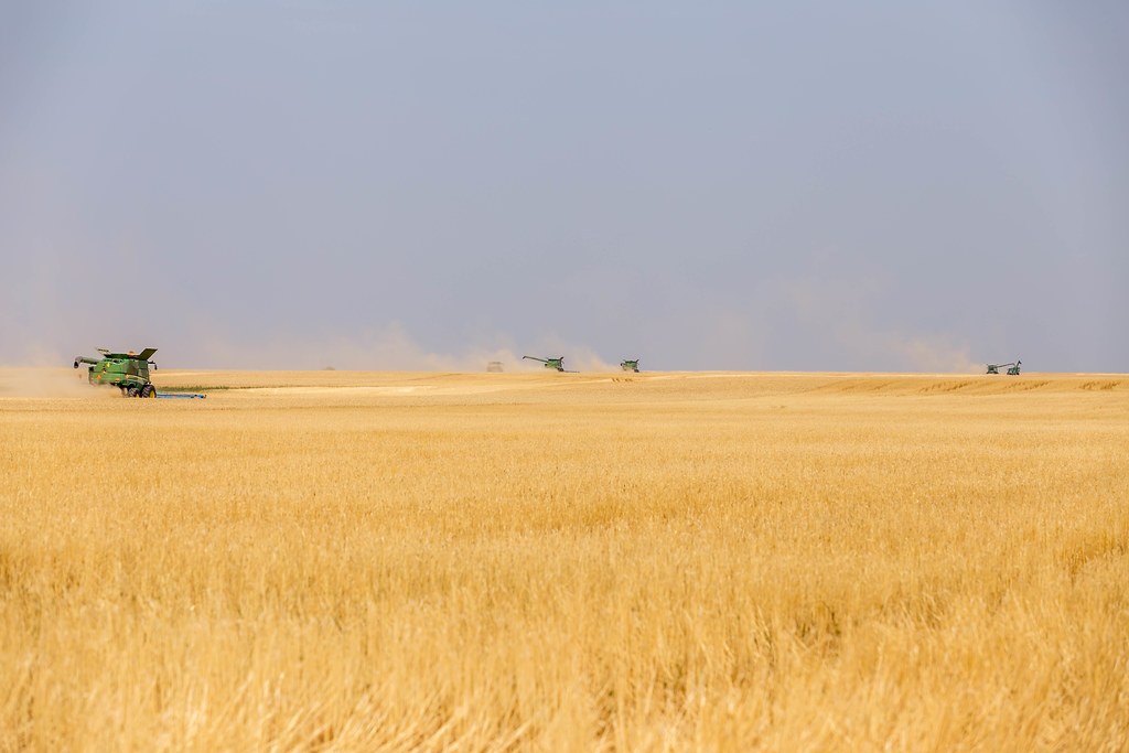 High Plains Harvesting 2018