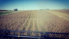 Schemper Harvesting 2018