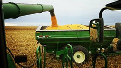 Schemper Harvesting 2018