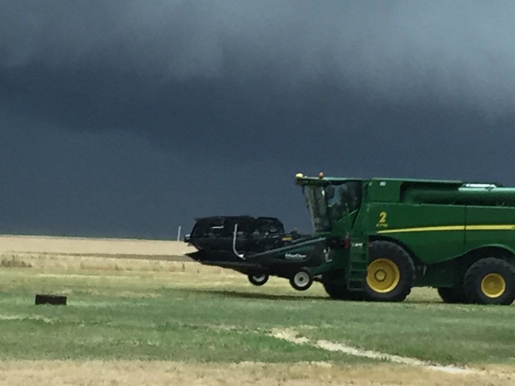 Schemper Harvesting 2018