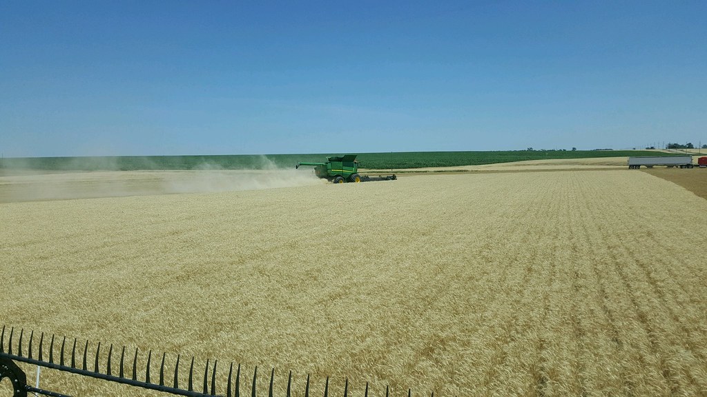 Schemper Harvesting 2018