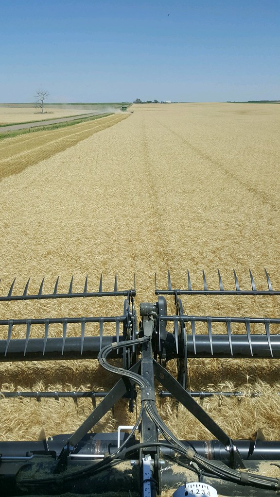 Schemper Harvesting 2018