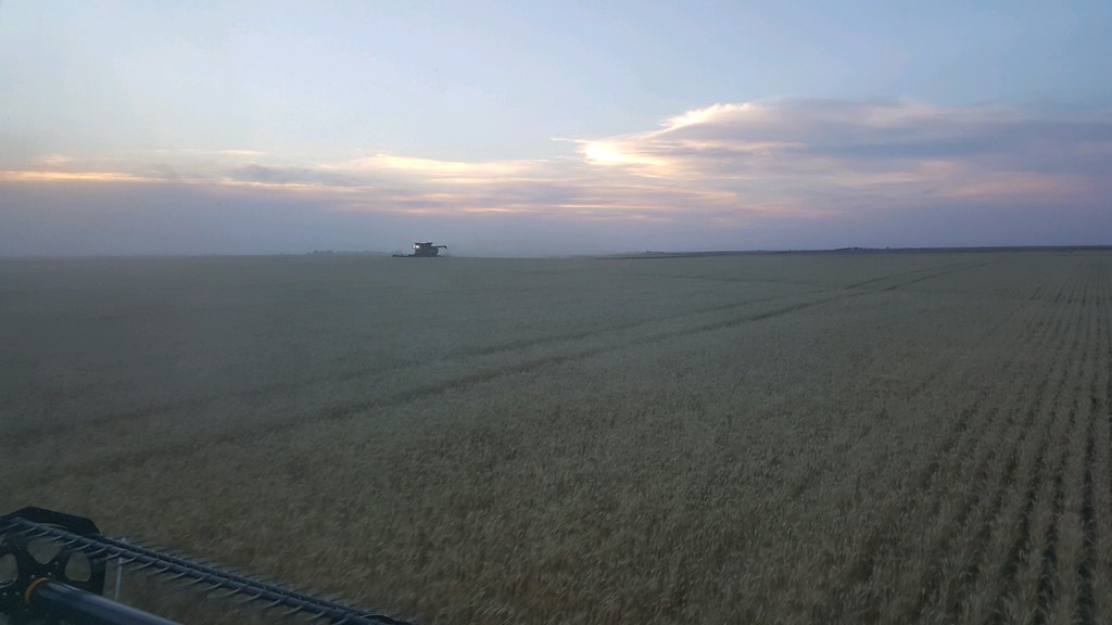 Schemper Harvesting 2018