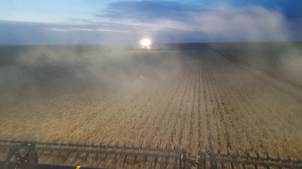 Schemper Harvesting 2018