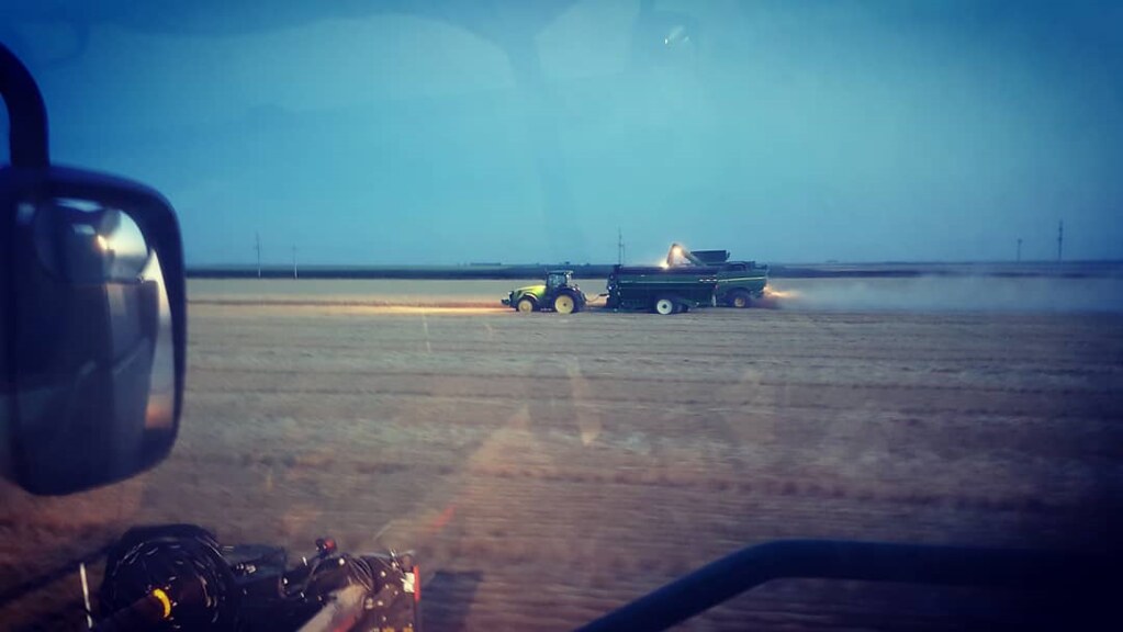 Schemper Harvesting 2018