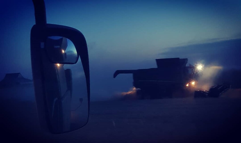 Schemper Harvesting 2018