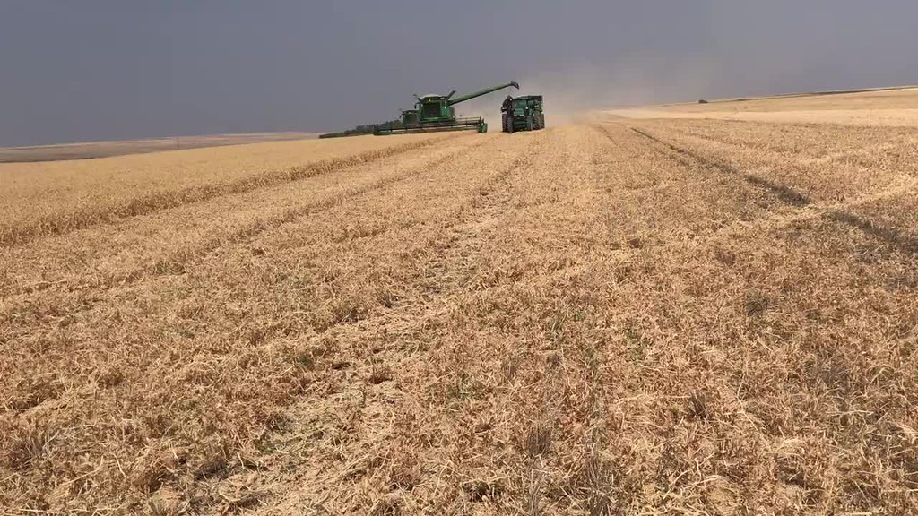 2018 High Plains Harvesting