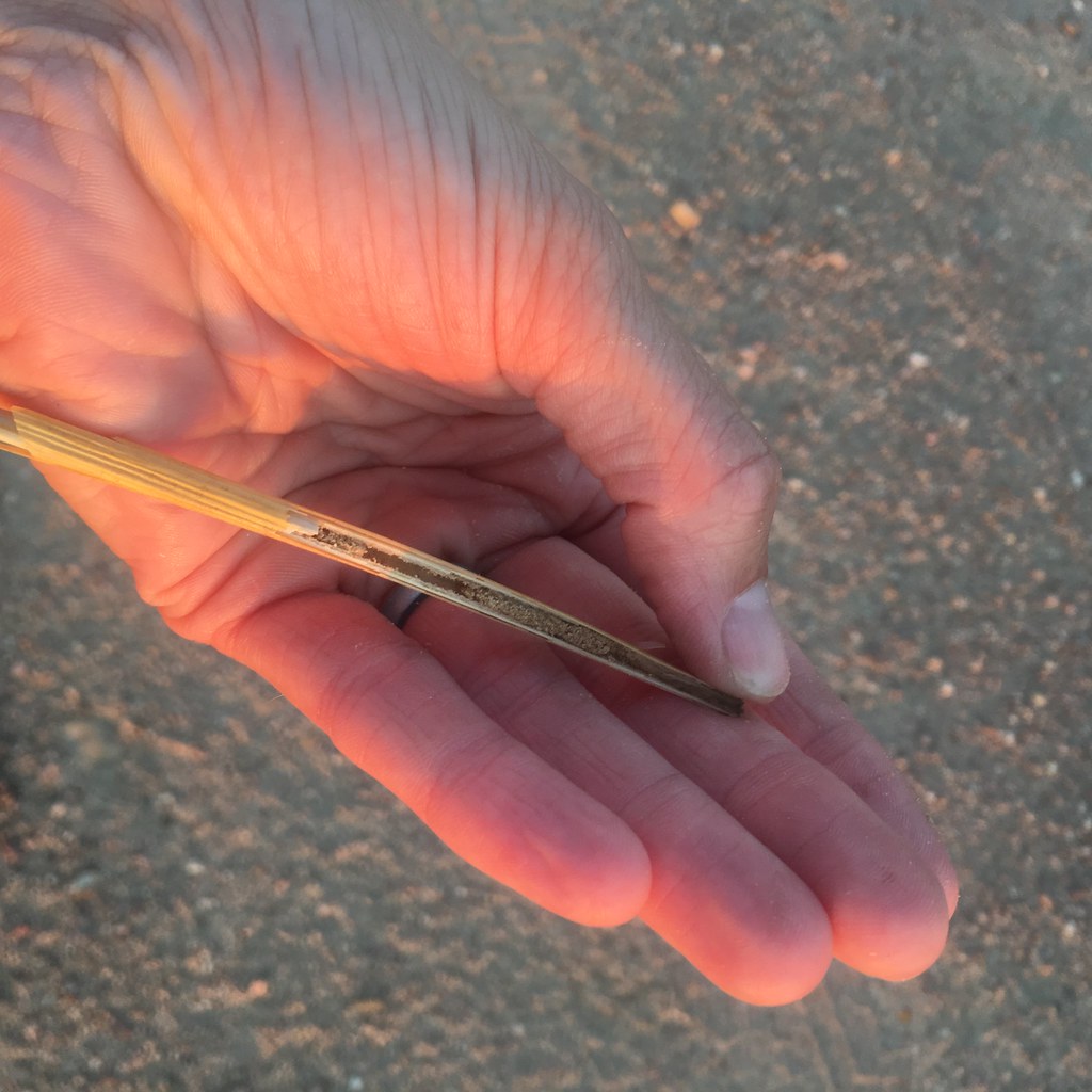 High Plains Harvesting 2018 (Laura)