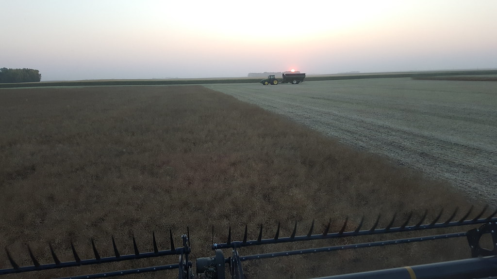 Schemper Harvesting