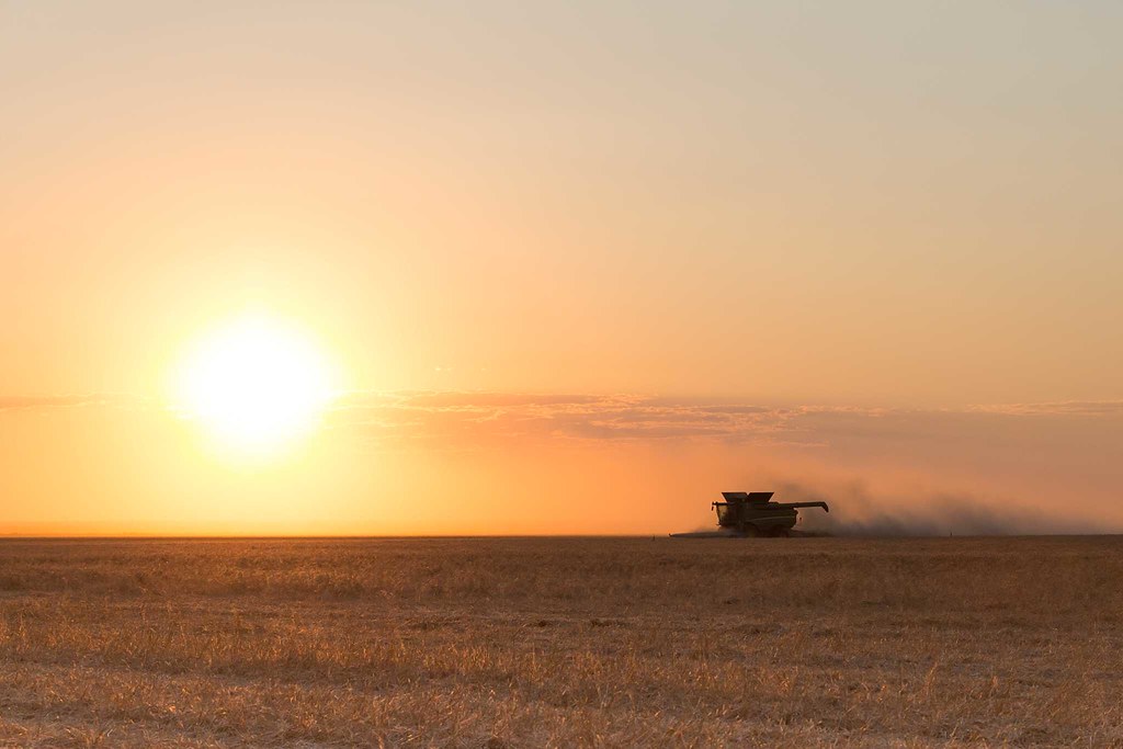 High Plains Harvesting 2018