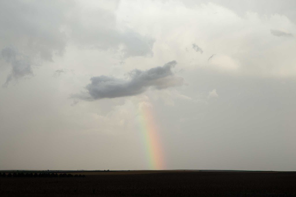 High Plains Harvesting 2018