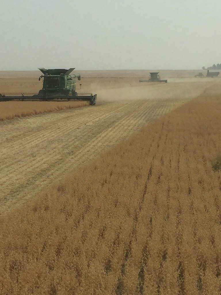 Schemper Harvesting