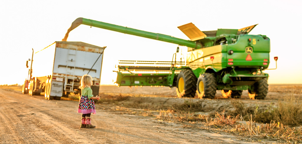 High Plains Harvesting 2017