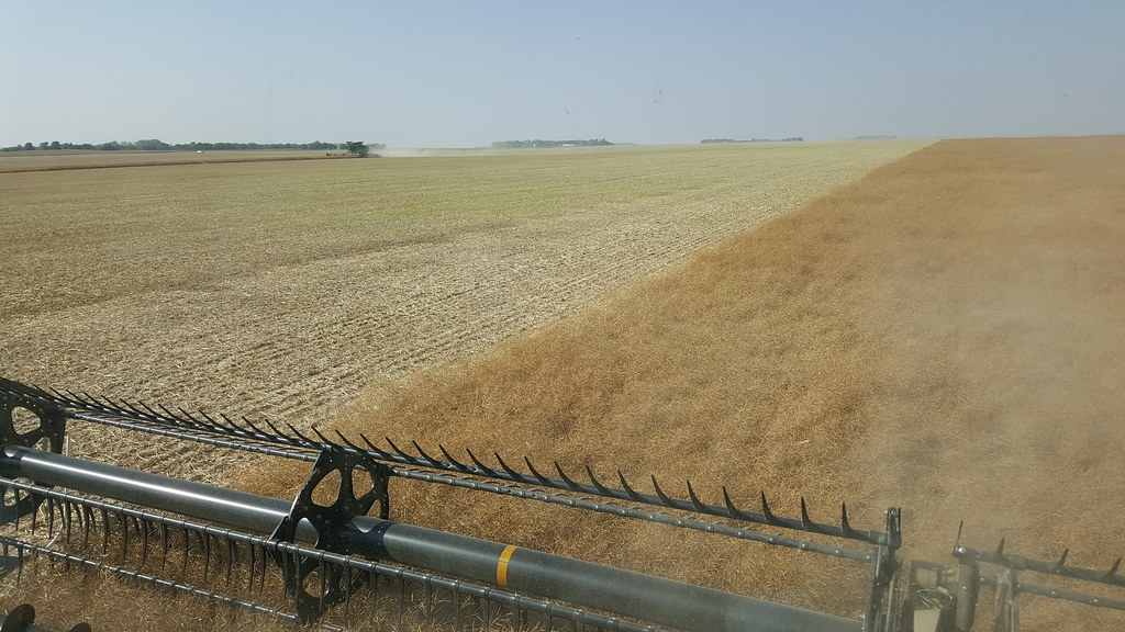 Schemper Harvesting