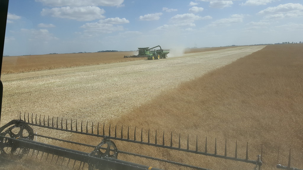 Schemper Harvesting