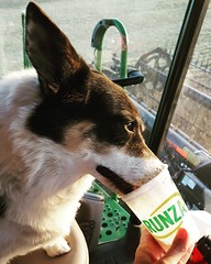 Schemper Harvesting 2018