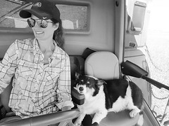 Schemper Harvesting 2018