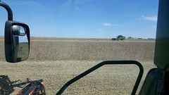 Schemper Harvesting 2018