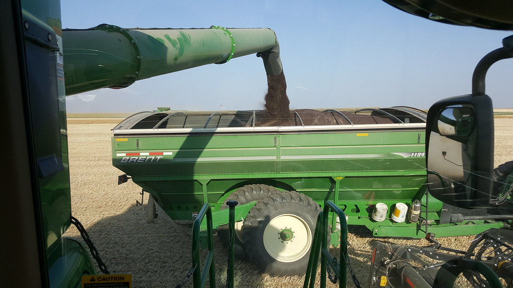 Schemper Harvesting