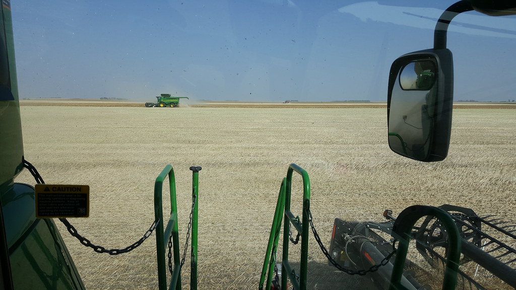 Schemper Harvesting