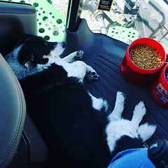 Schemper Harvesting 2018