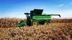 Schemper Harvesting 2018